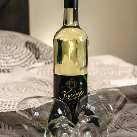 Chill Out Area, Sauna & Wirlpool, Grandiose Aussicht, Smart Tv, Grosse Terasse, Zentrum Nah